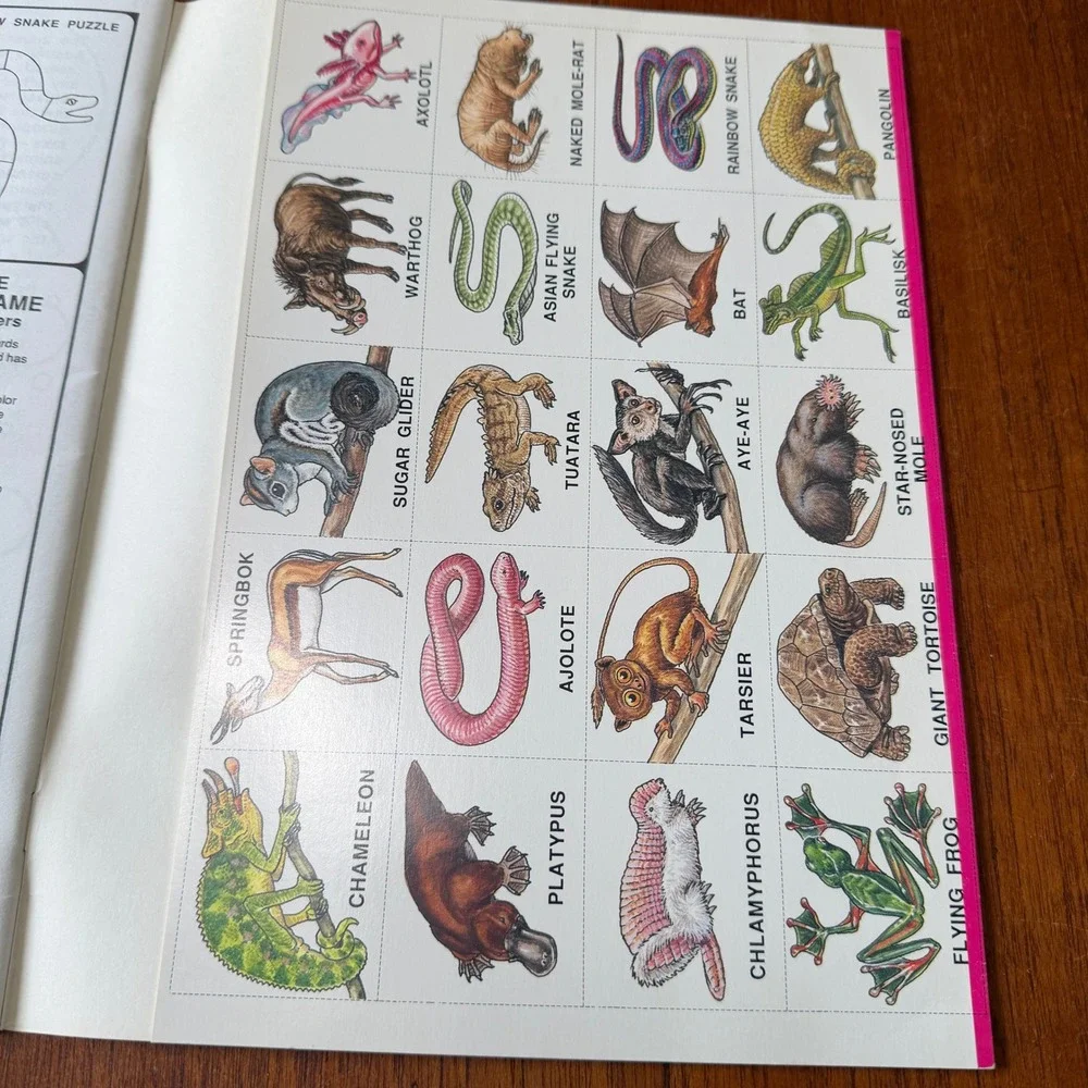 Warner Press I Learn About Gods World Activity Book Set Animals Sea Life Dino